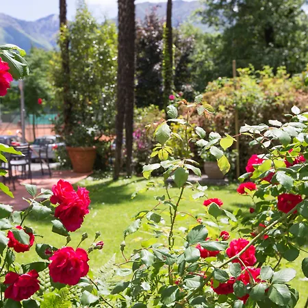 فندق Al لوكارنو